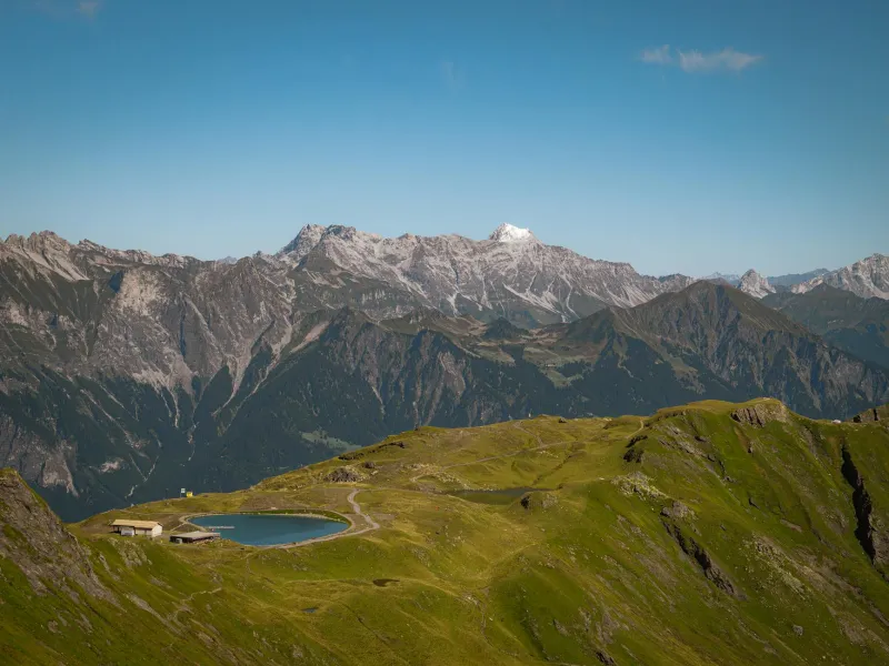 Workfare by Another Name: How the Government's 'Back to Work' Drive Is Punishing the Sick and Calling It Reform